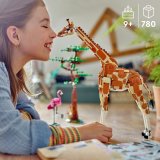 LEGO® Creator 31150 Divoká zvířata ze safari