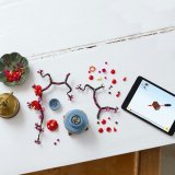LEGO® Botanicals 10369 Meruňka japonská