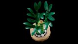 LEGO® Botanicals 10344 Bambus štěstí