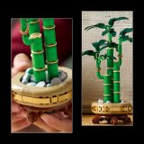 LEGO® Botanicals 10344 Bambus štěstí