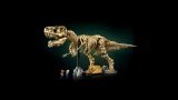 LEGO® Jurassic World™ 76968 Dinosauří fosilie: Tyrannosaurus rex