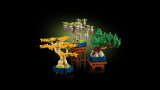 LEGO® Botanicals 10373 Miniaturní bonsaje