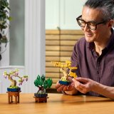LEGO® Botanicals 10373 Miniaturní bonsaje
