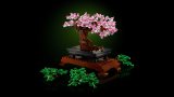 LEGO® Botanicals 10281 Bonsaj