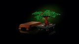 LEGO® Botanicals 10281 Bonsaj