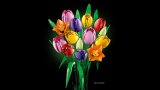 LEGO® Botanicals 11501 Kytice tulipánů