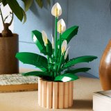 LEGO® Botanicals 11504 Lopatkovec