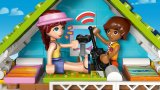 LEGO® Friends 42699 Plážový dům s tuleni