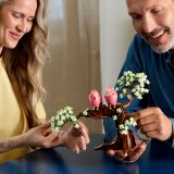 LEGO® Ideas 21365 Zamilovaní ptáčci