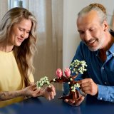 LEGO® Ideas 21365 Zamilovaní ptáčci