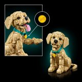 LEGO® Icons 11384 Štěně zlatého retrívra