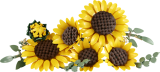 LEGO® Botanicals 11502 Kytice slunečnic