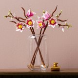LEGO® Botanicals 11510 Větvičky magnólie