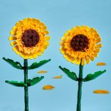 LEGO® Botanicals 40524 Slunečnice