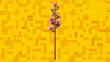 LEGO® Botanicals 40725 Třešňové květy