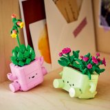 LEGO® Botanicals 11506 Houpající se rostlinky