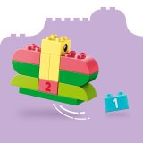 LEGO® DUPLO® 10479 Barevný kreativní box s kostkami