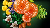 LEGO® Botanicals 11505 Lesní houby
