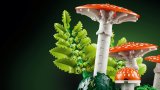 LEGO® Botanicals 11505 Lesní houby