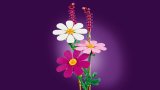 LEGO® Botanicals 11514 Krásenky