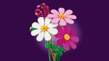 LEGO® Botanicals 11514 Krásenky