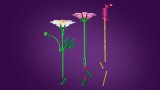 LEGO® Botanicals 11514 Krásenky