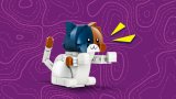 LEGO® Fortnite® 77081 KIT
