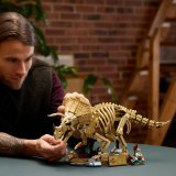 LEGO® Jurassic World™ 77985 Dinosauří fosilie: Triceratops