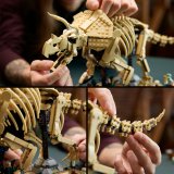 LEGO® Jurassic World™ 77985 Dinosauří fosilie: Triceratops